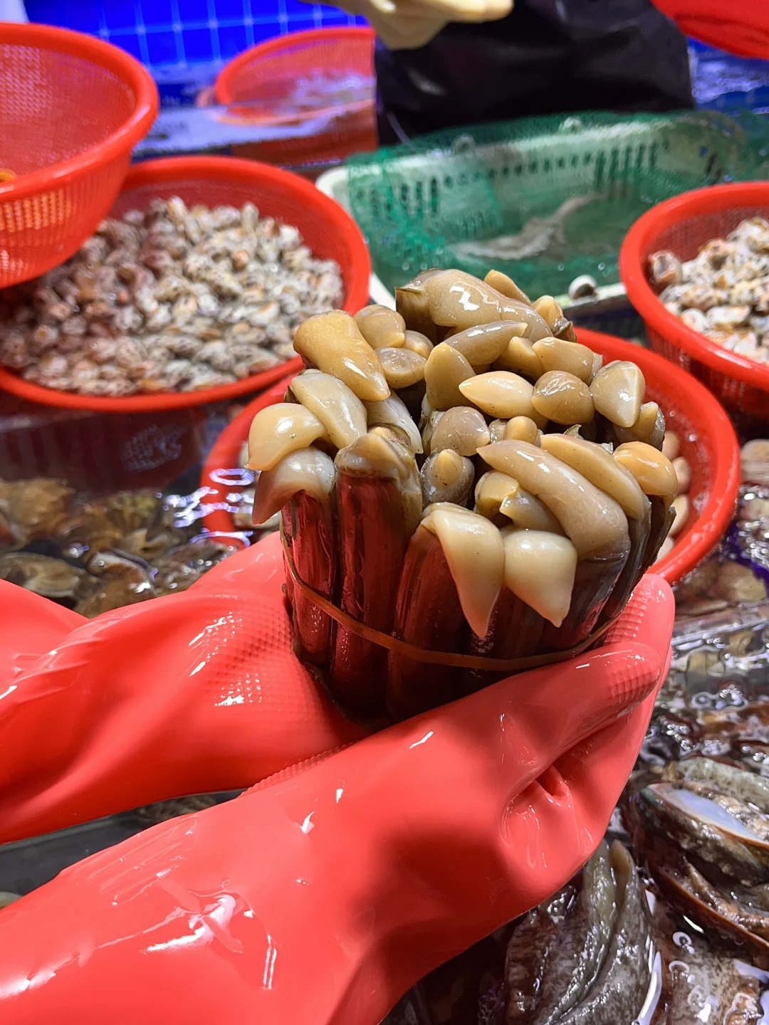 报!发现一个三亚本地人私藏的海鲜市场!