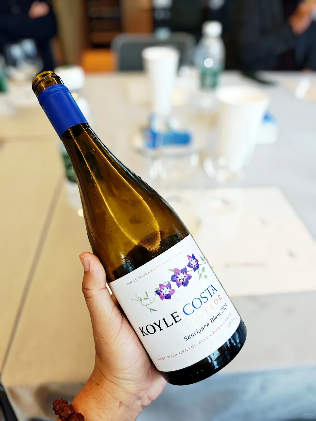 智利酒庄的葡萄酒品鉴会,真的太好喝了!