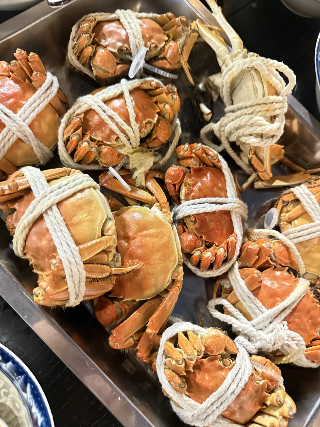 文二路菜市场,人间烟火气最抚凡人心