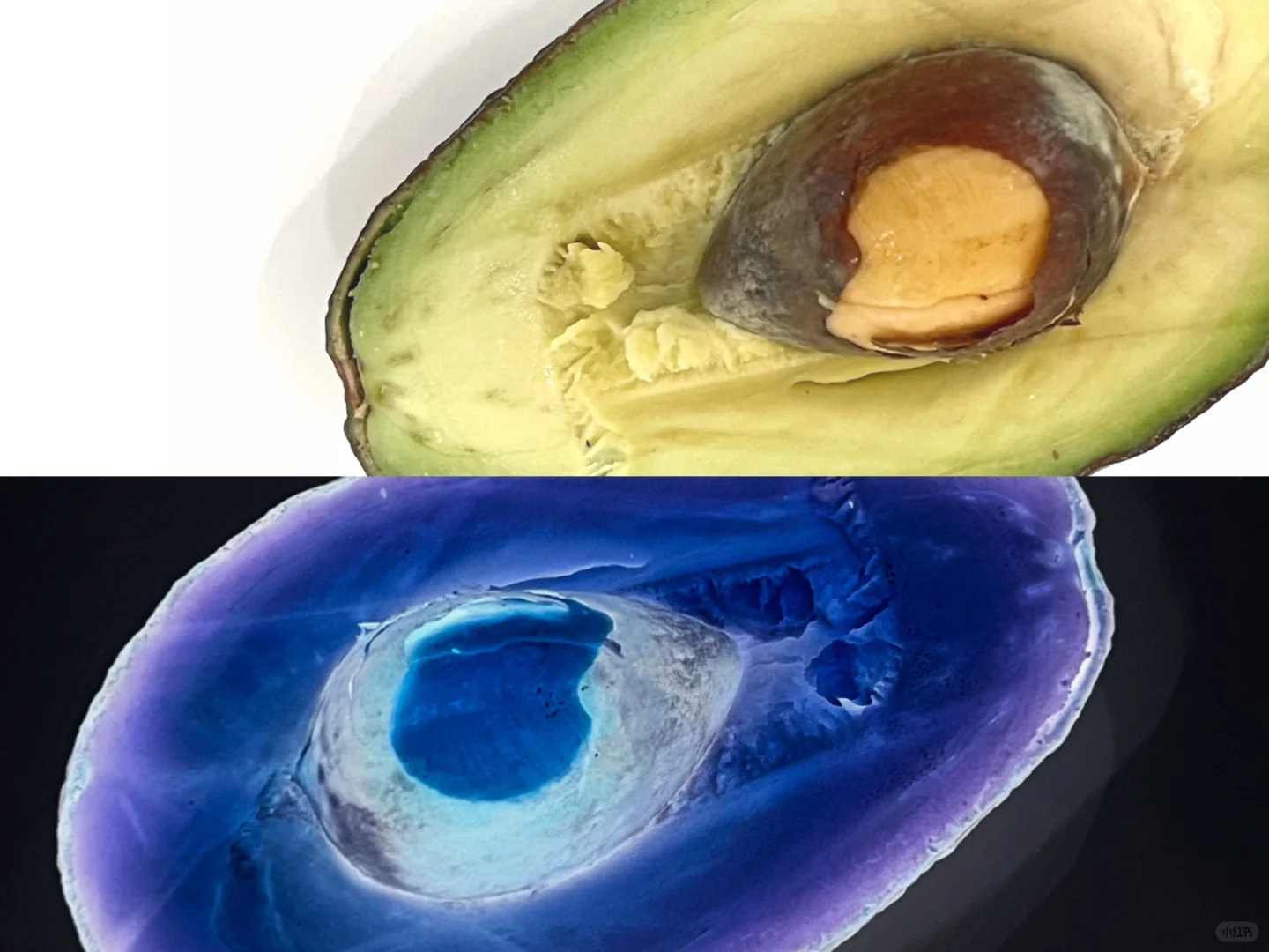 给调酒初学者的教材(酒的起源)