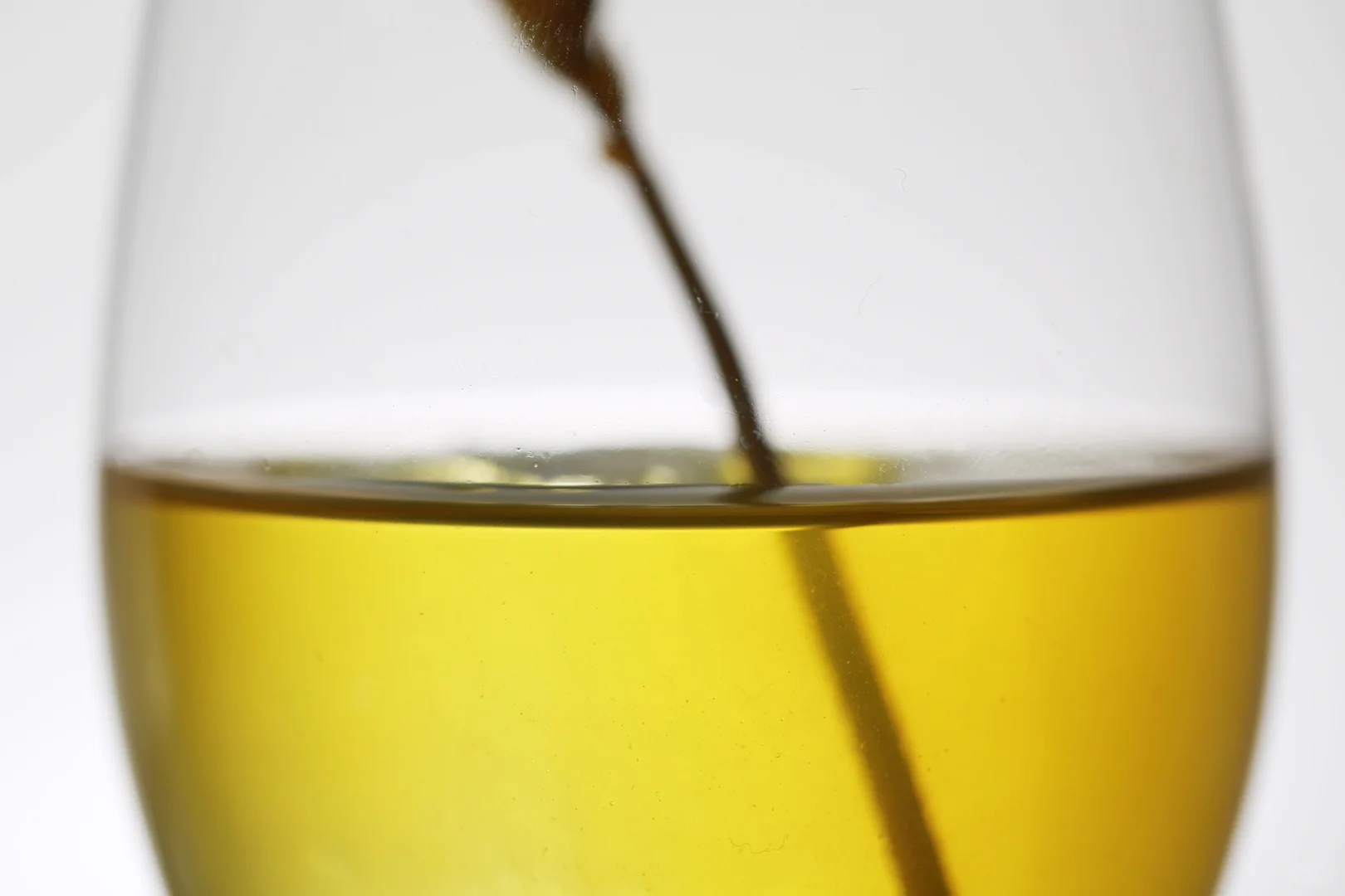 给调酒初学者的教材(酒的起源)