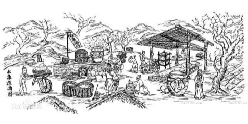 收藏老酒不为赚钱,只为传承文化!