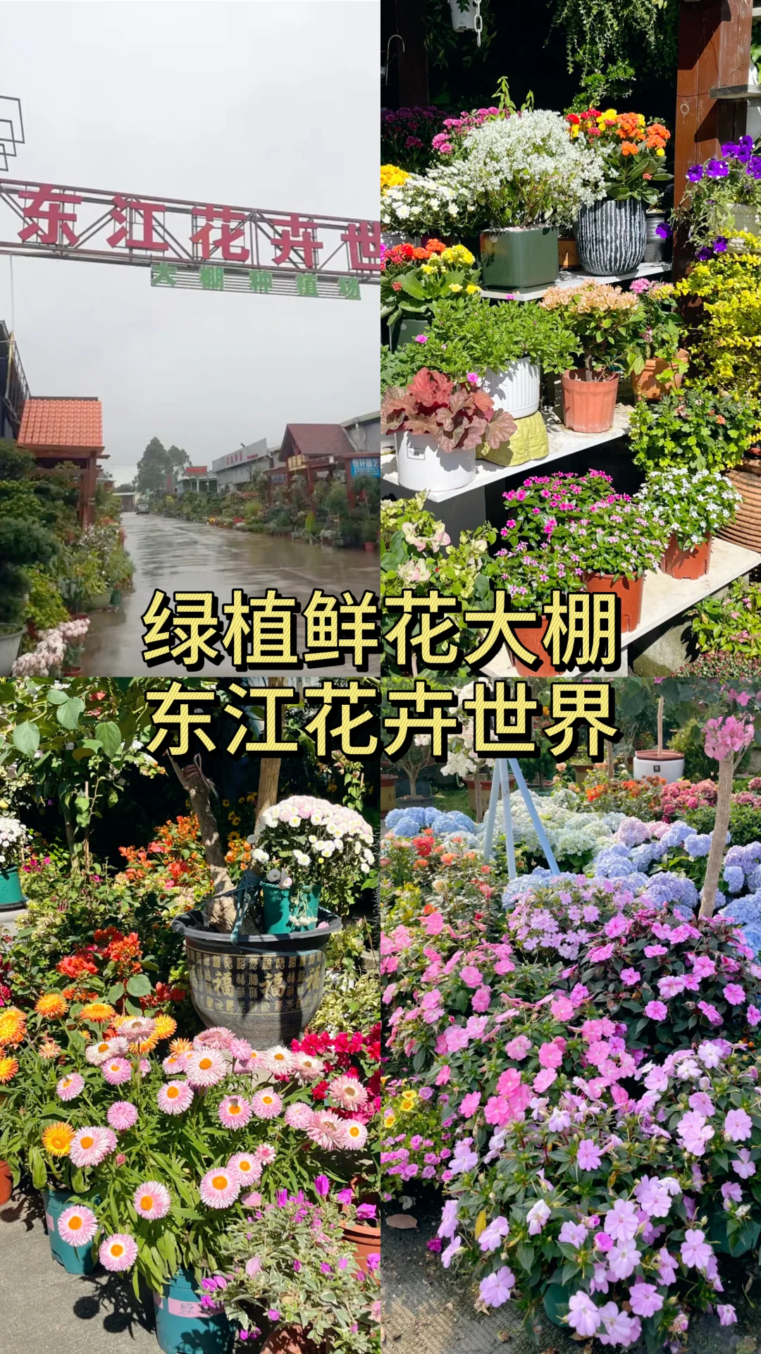 东莞人都喜欢逛的10个批发市场!?➡️?➡️