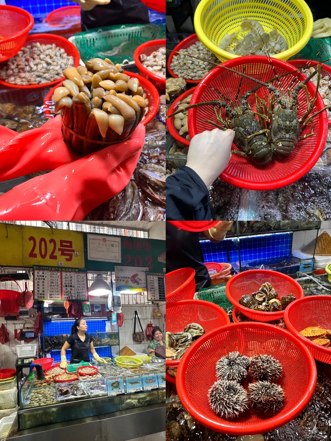 报!发现一个三亚本地人私藏的海鲜市场!