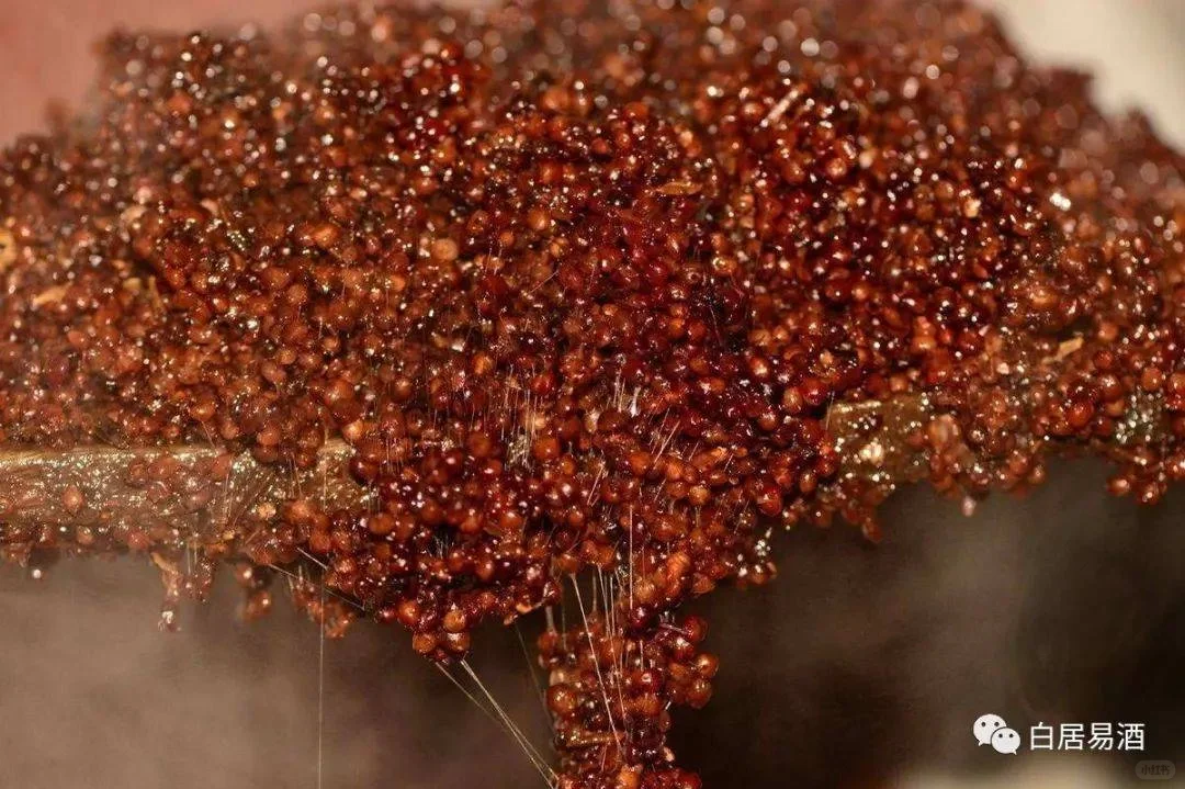 白居易酒是坤沙酒吗?属于什么档次?