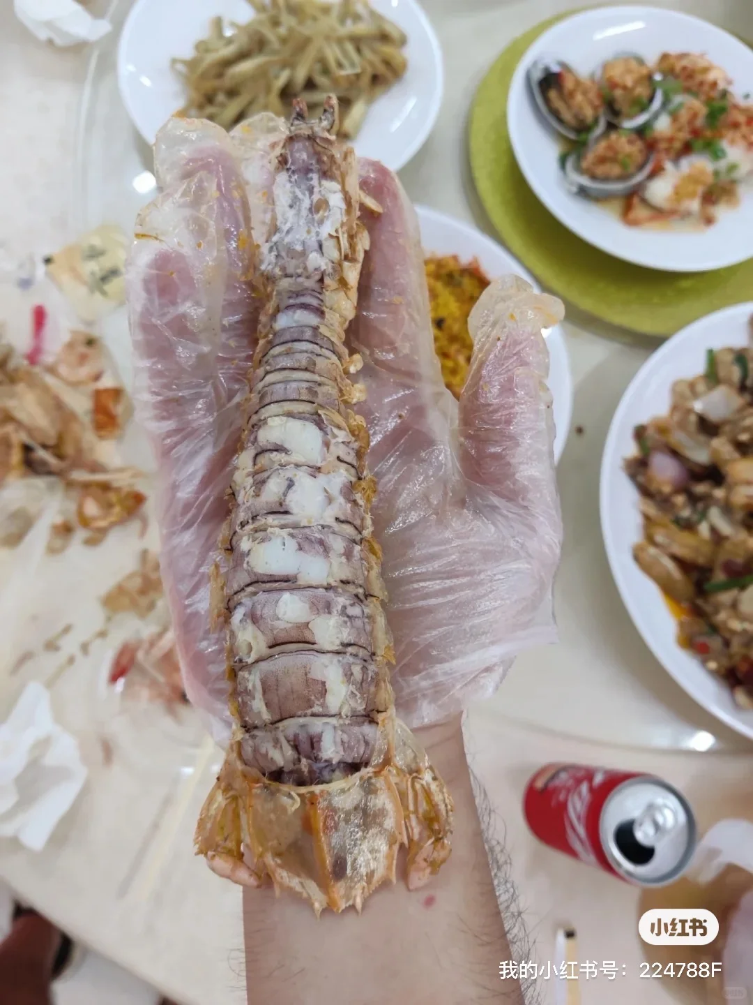 11.7海鲜实时报价|便民市场竹林佬不踩坑?