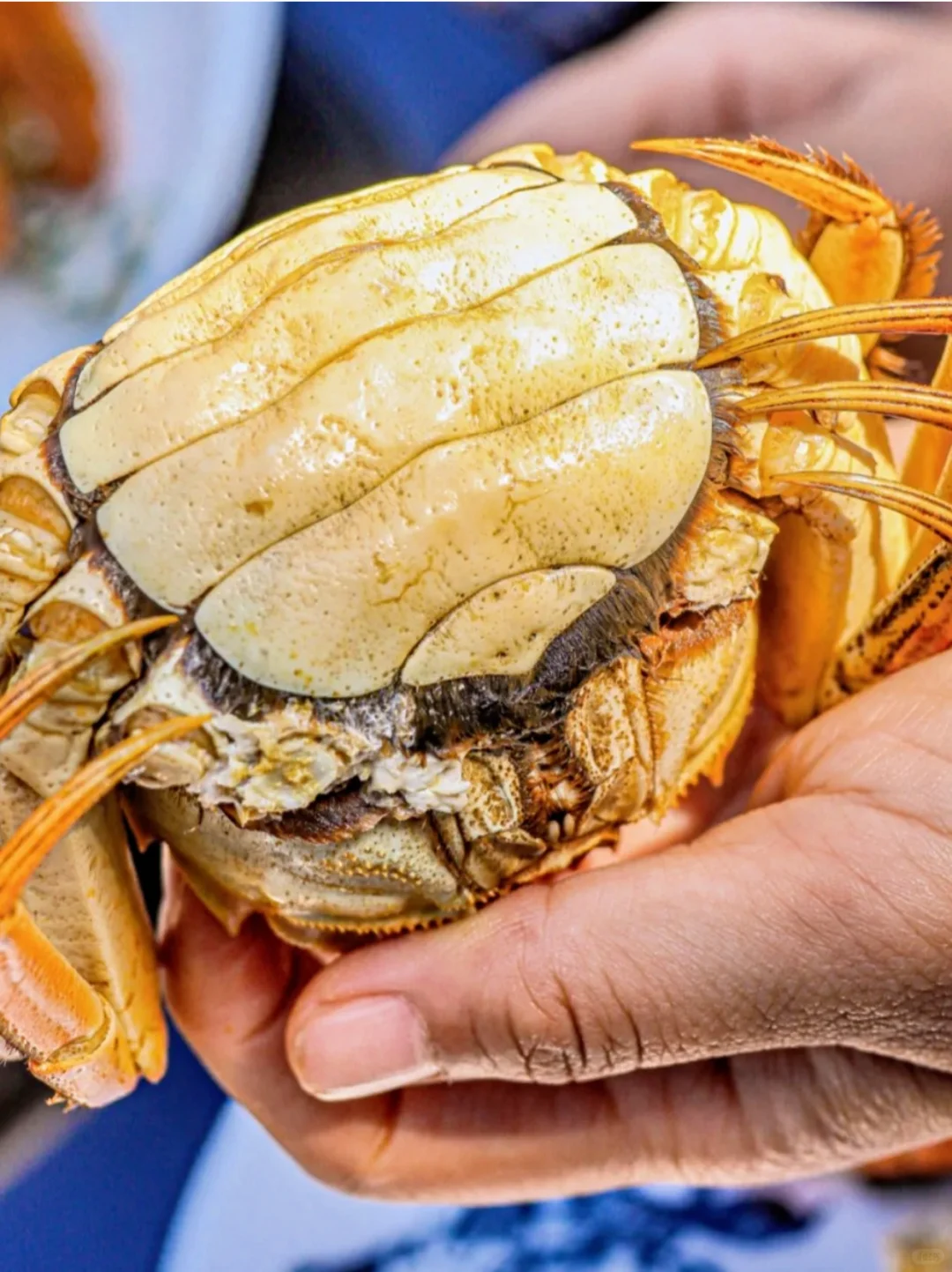 请网友们看看这份?礼怎么样？