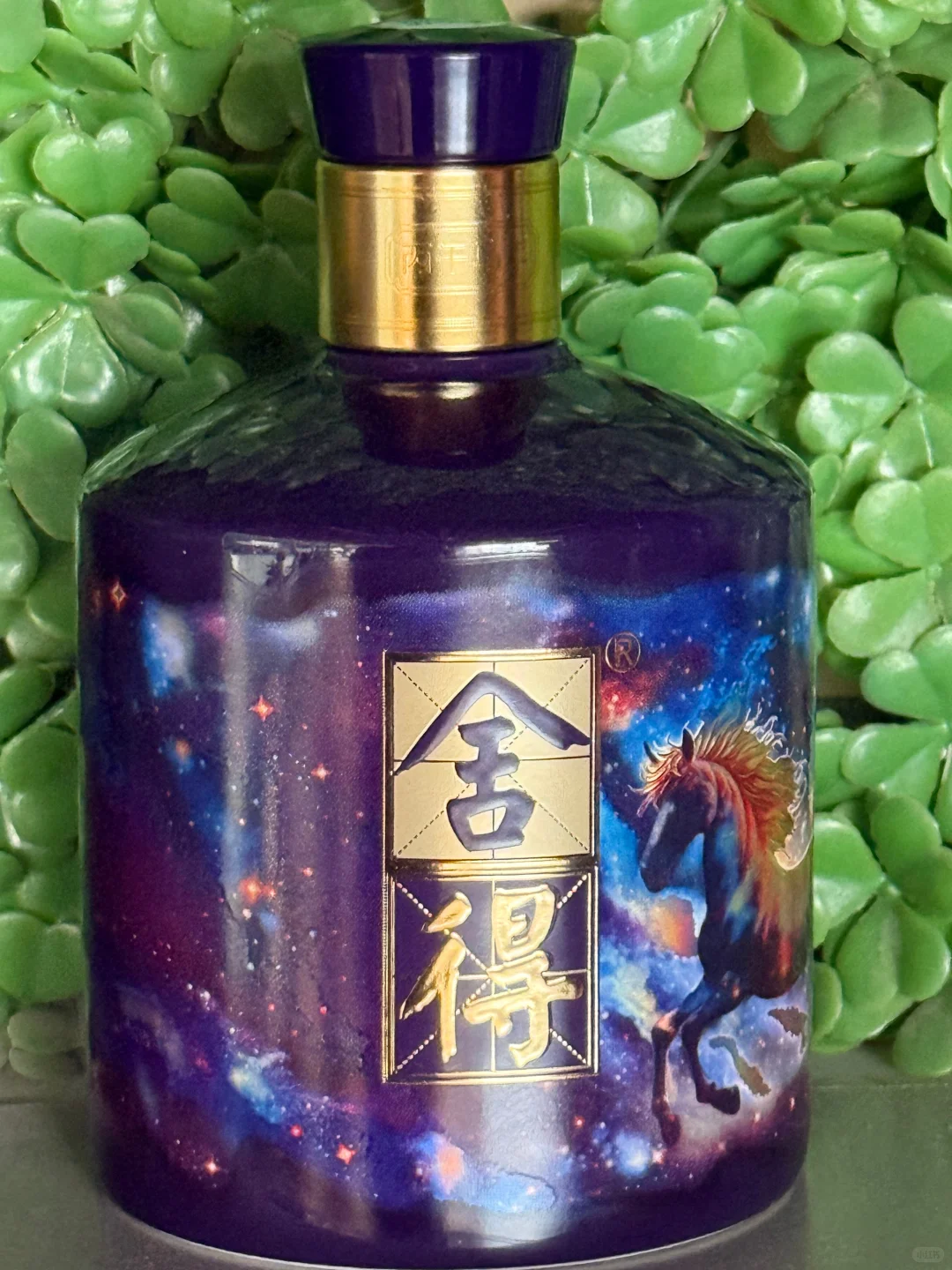 54 度舍得马年生肖酒太绝了！瓶身烫金骏马寓