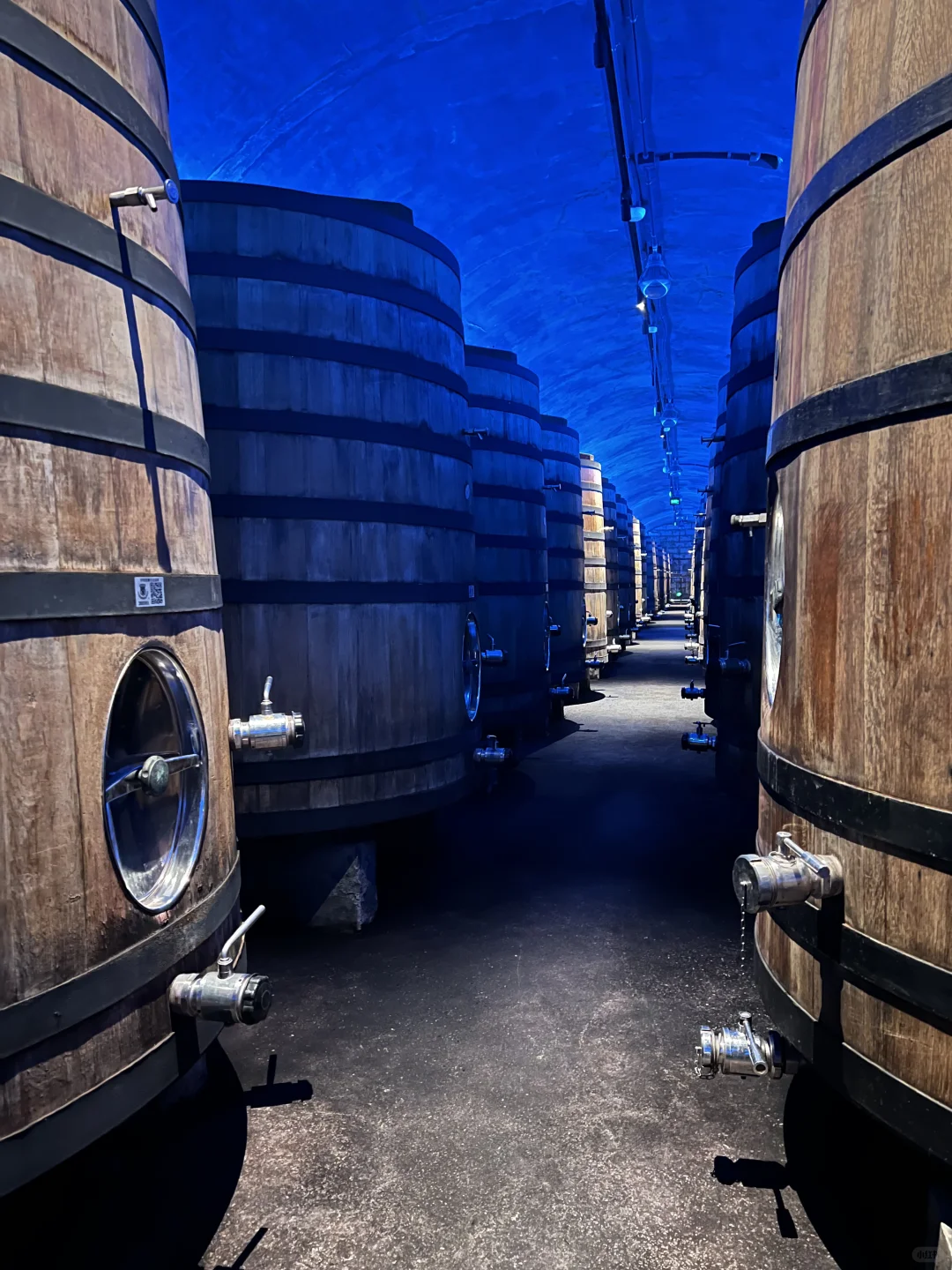 走进烟台张裕酒文化博物馆