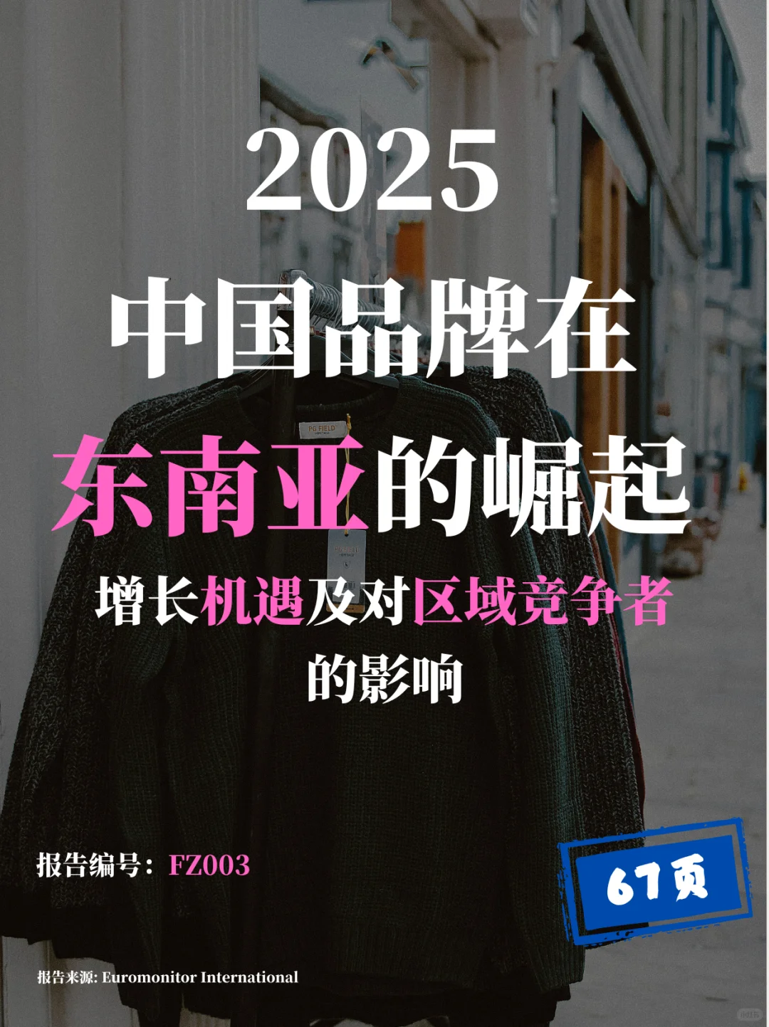 中国品牌东南亚崛起,机遇挑战全解析