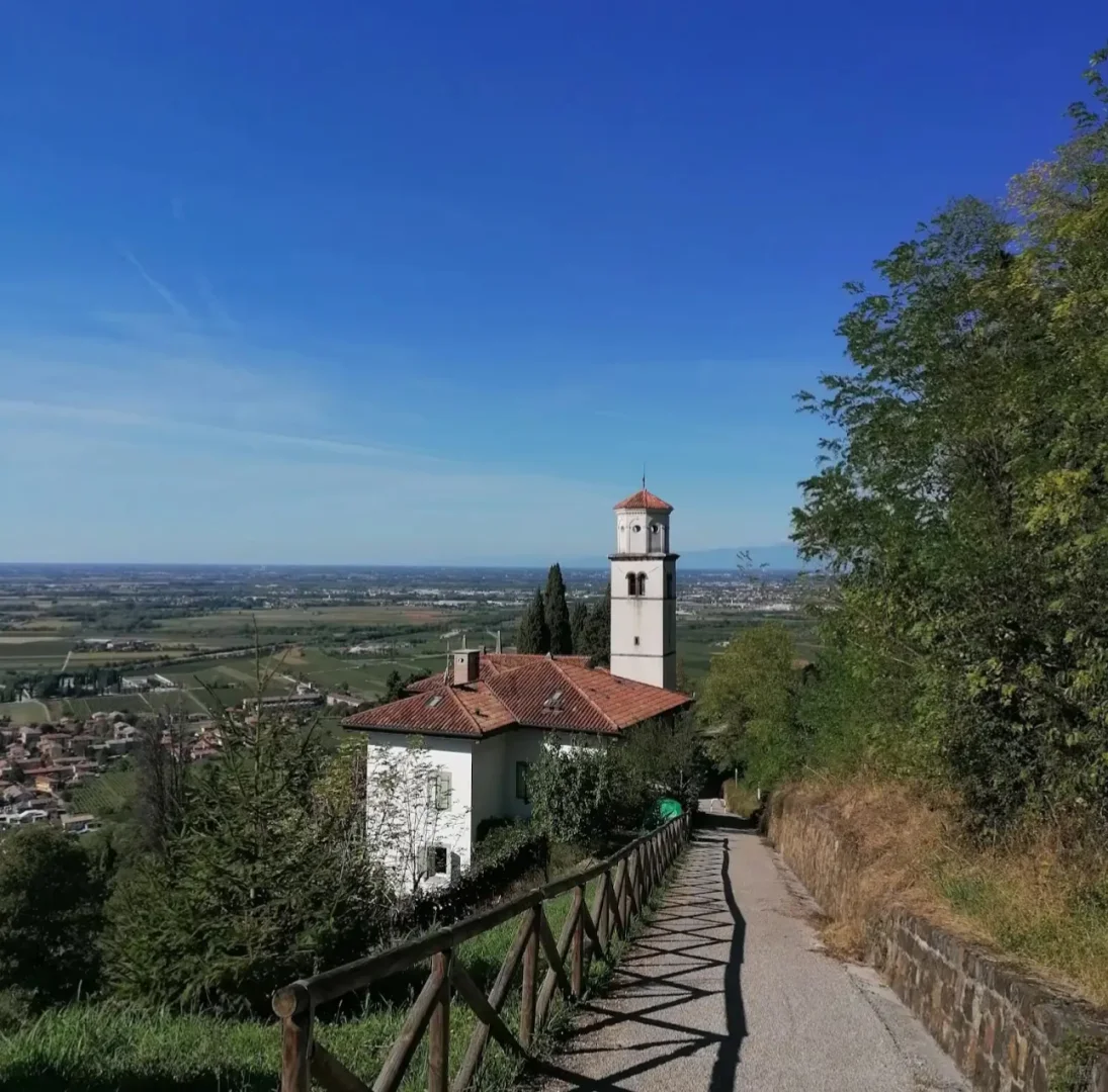 弗留利白酒-1-Angoris Sauvignon