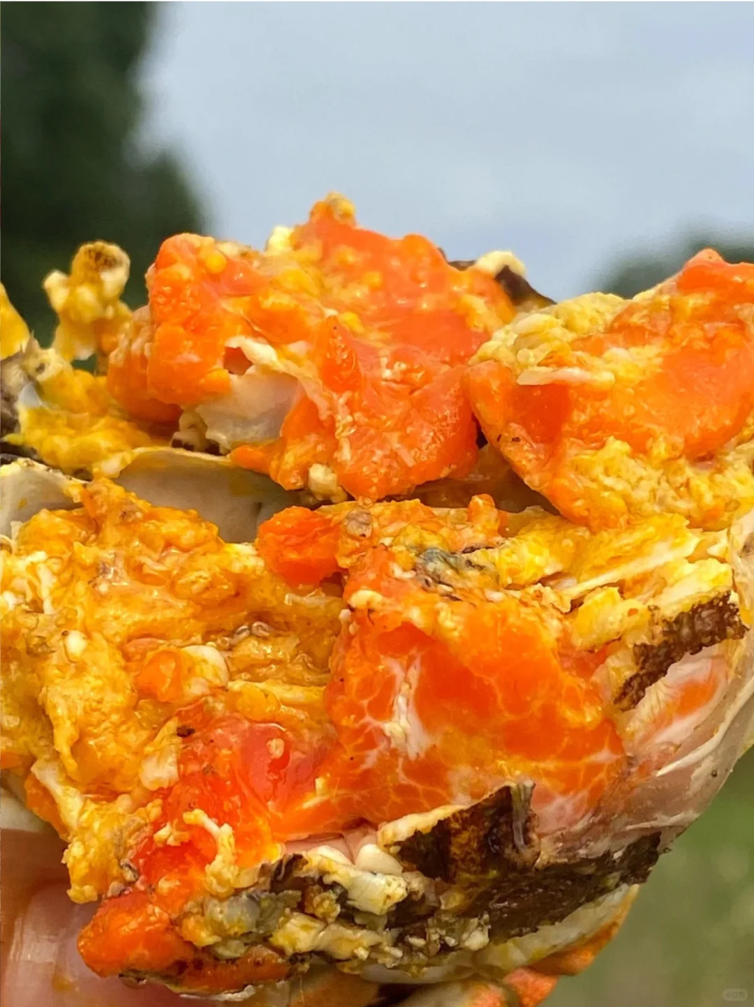 请网友们看看这份?礼怎么样？