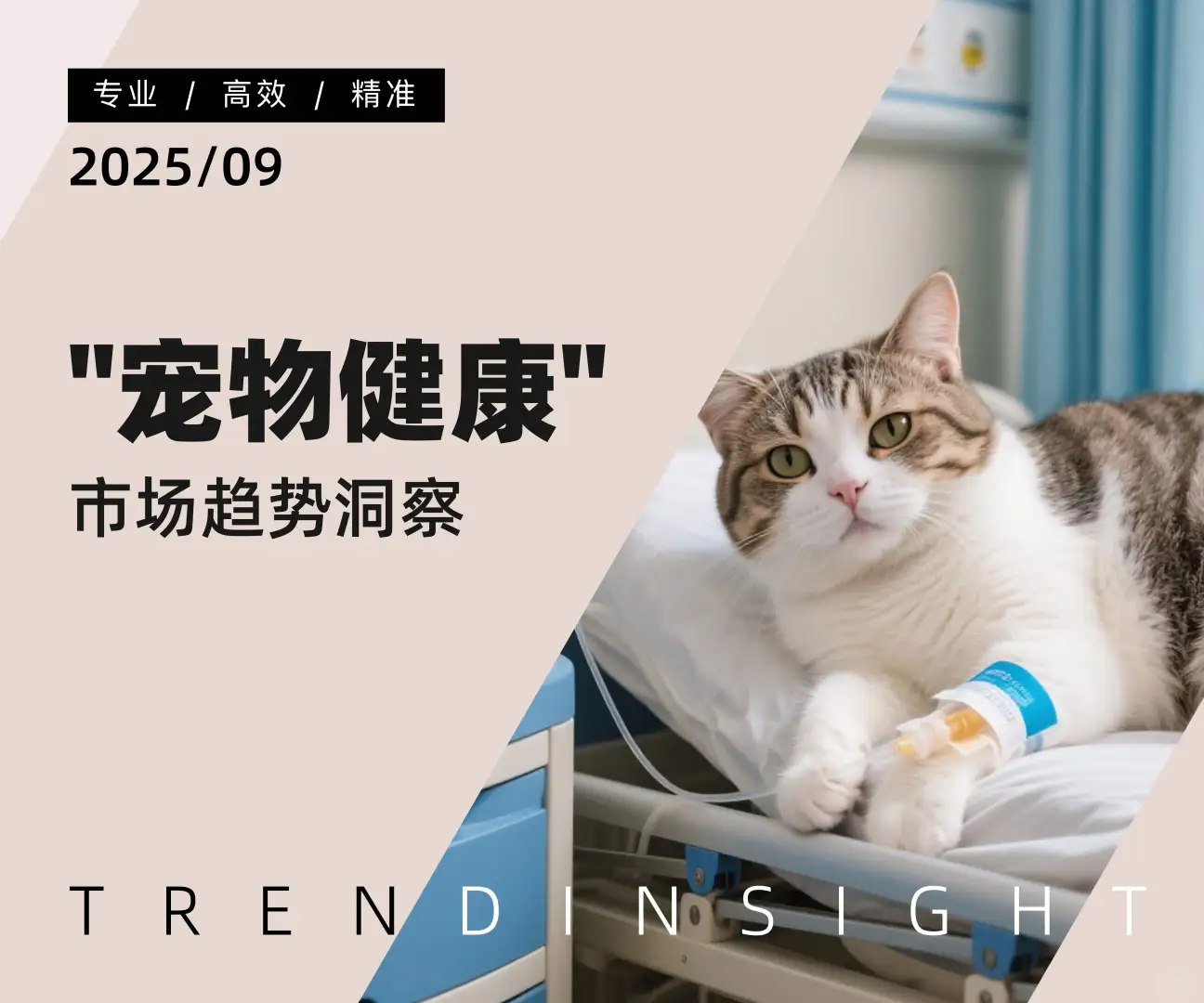2025“宠物健康”市场趋势洞察-