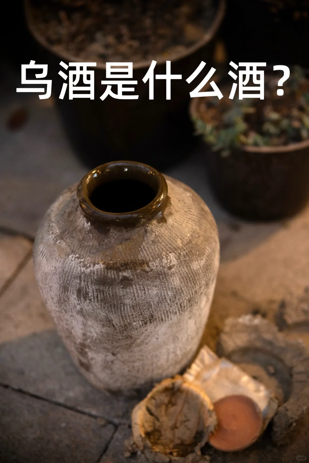 乌镇的乌酒是什么酒?