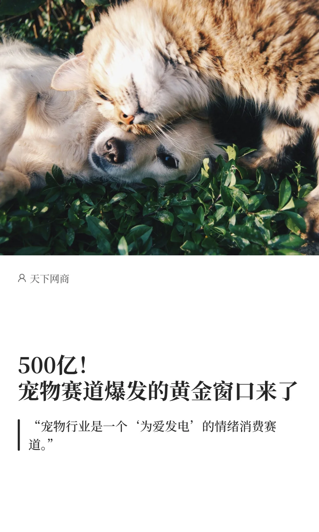 500亿！宠物赛道爆发的黄金窗口来了