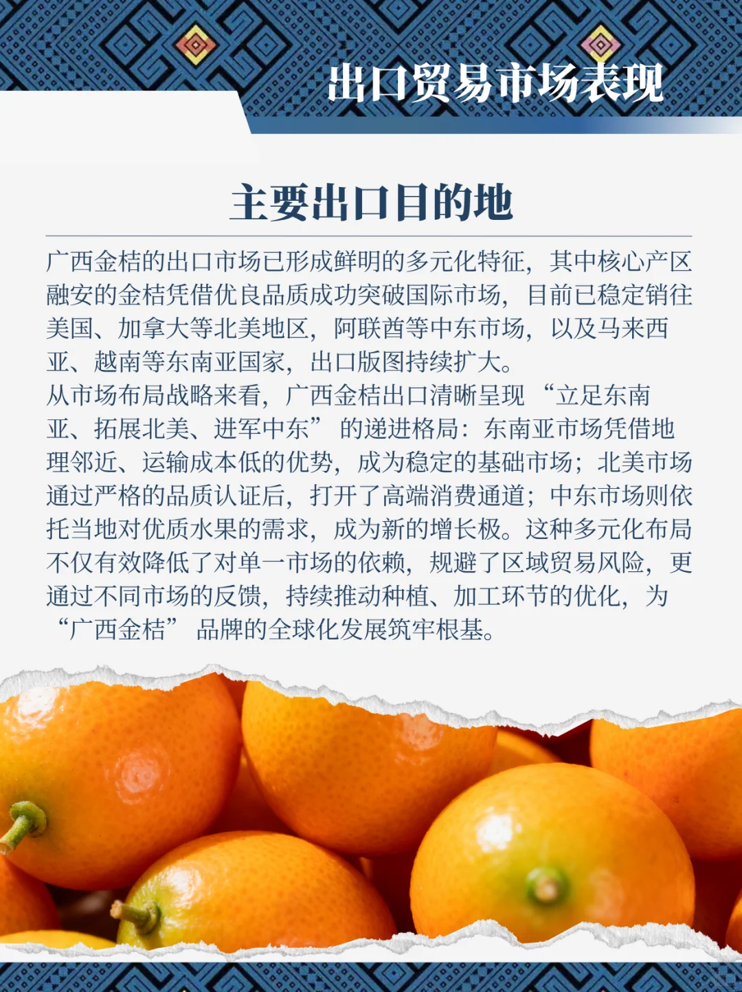 广西金桔出海 核心洞察报告