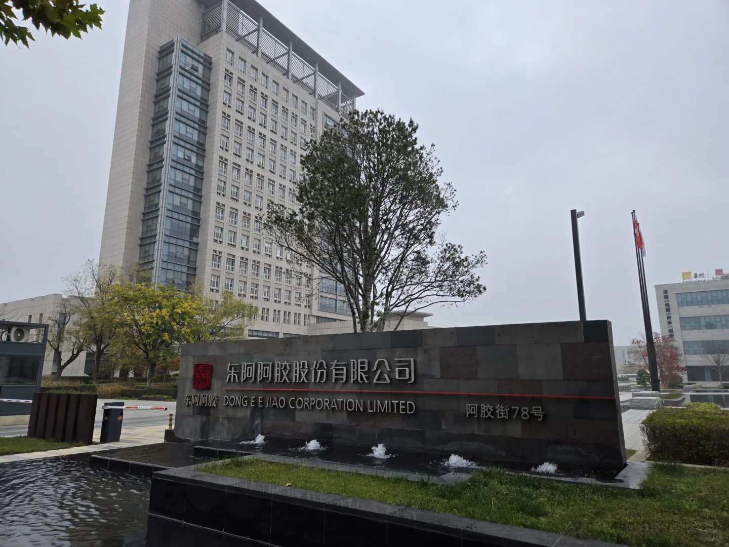 调研实录9——独自调研上市公司