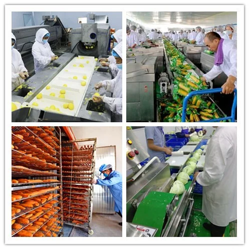 农副产品深加工设备与其他产业的协同发展