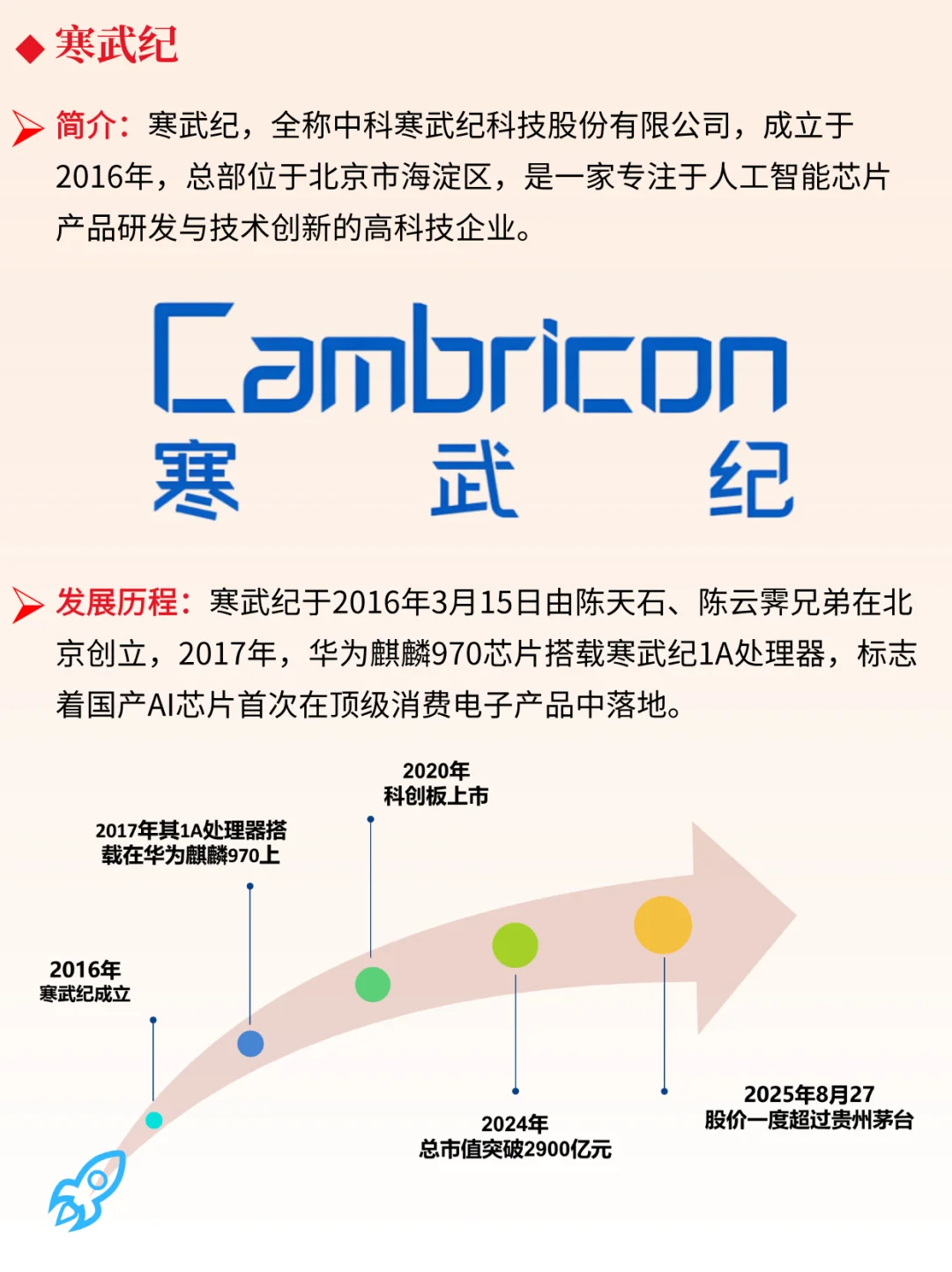 一天吃透一家上市公司：寒武纪 | A股新王