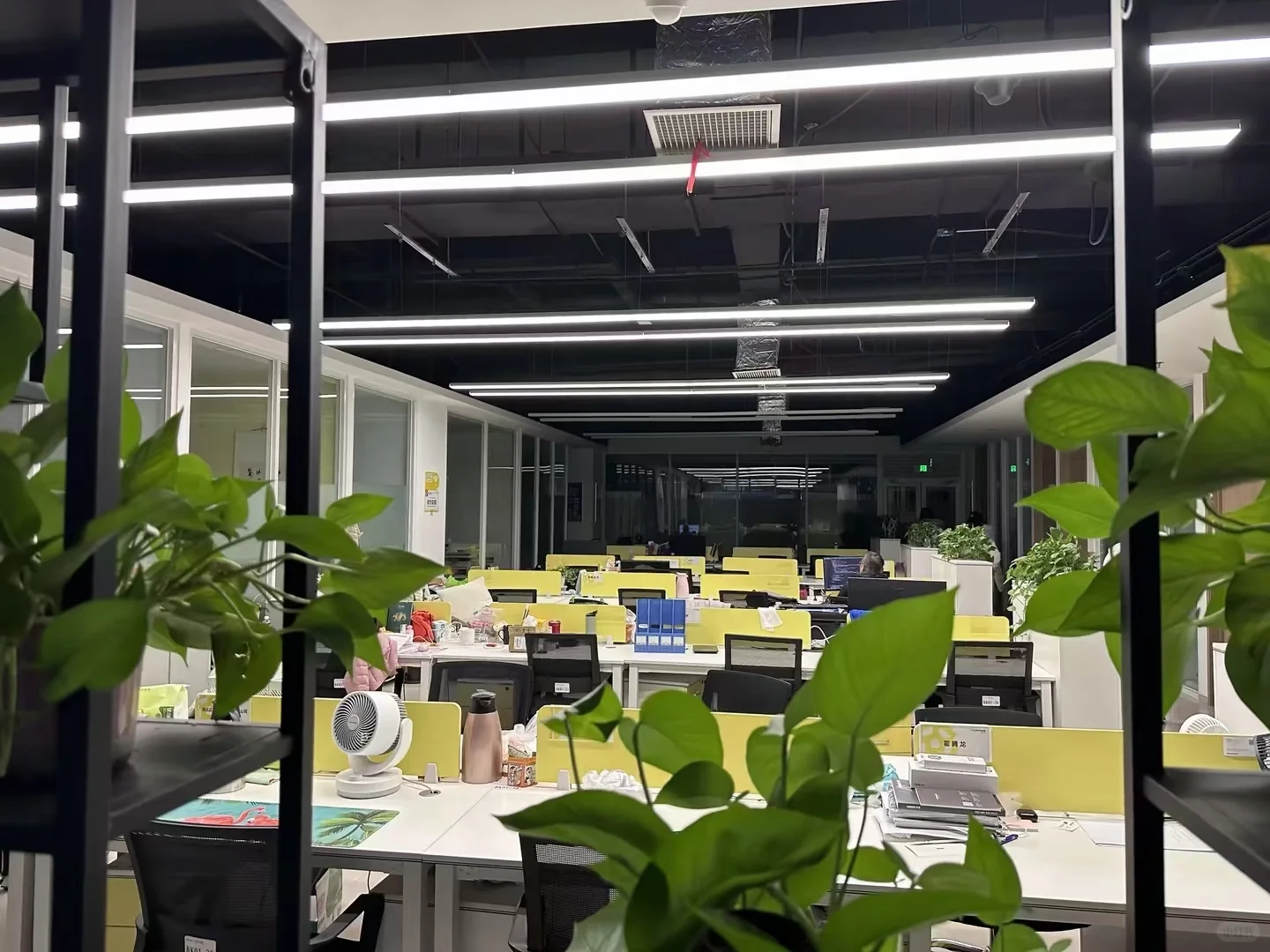 入职在上市公司是什么体验