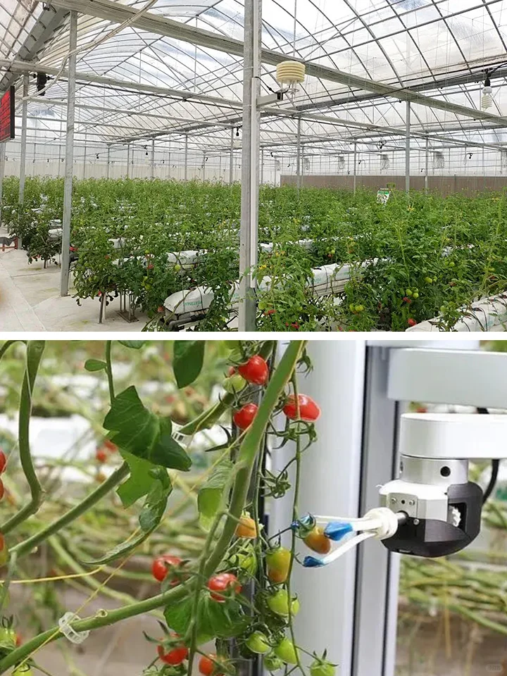 精准农业：现代农业发展的未来趋势