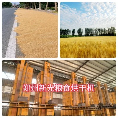 粮食烘干机在现代农业中作用重大