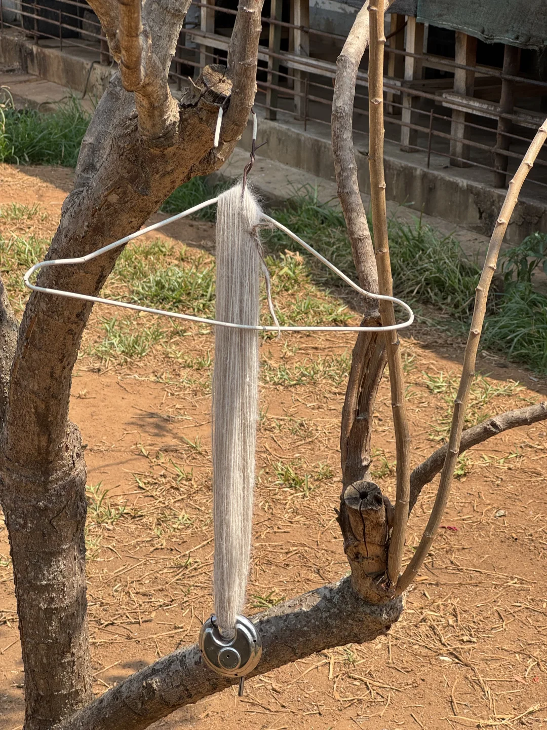 一顶绝无仅有的手纺狗绒帽子