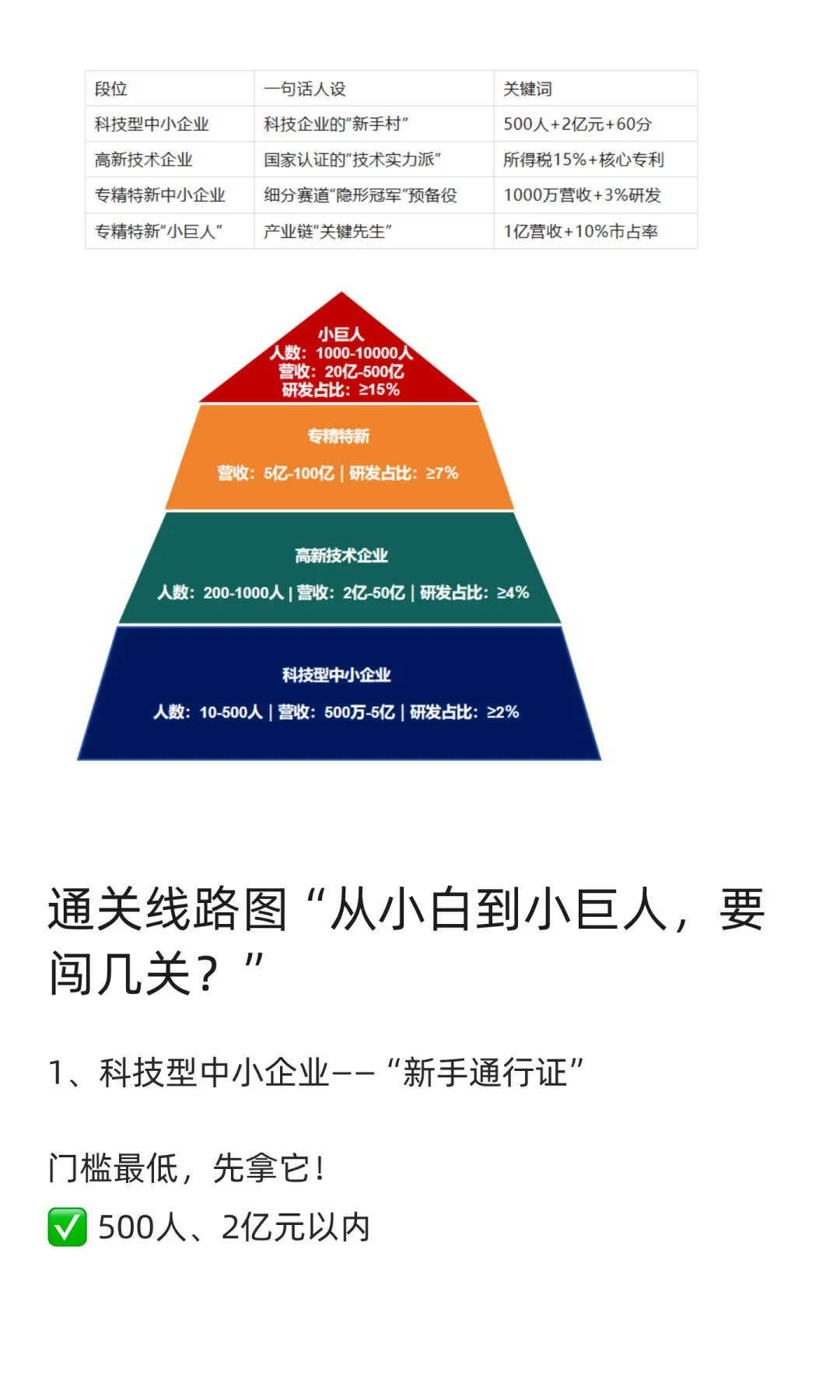 科技型中小企业→高新技术企业 → 专精特新