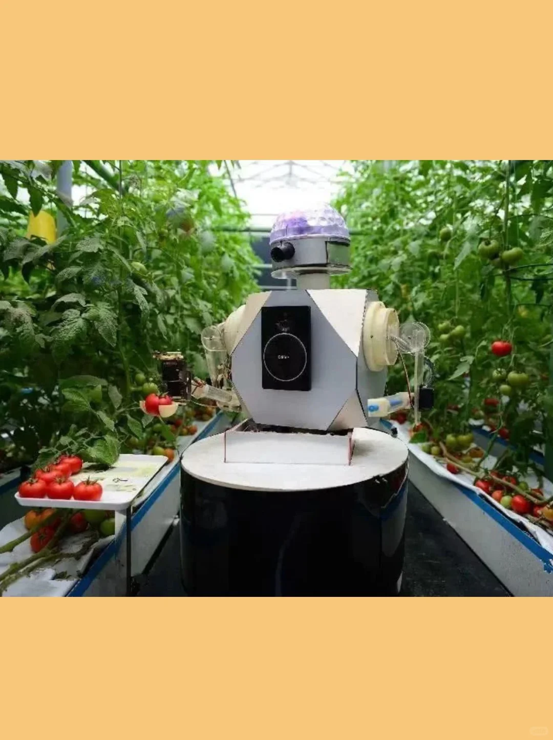 ??千亿市场！农业机器人强势入场
