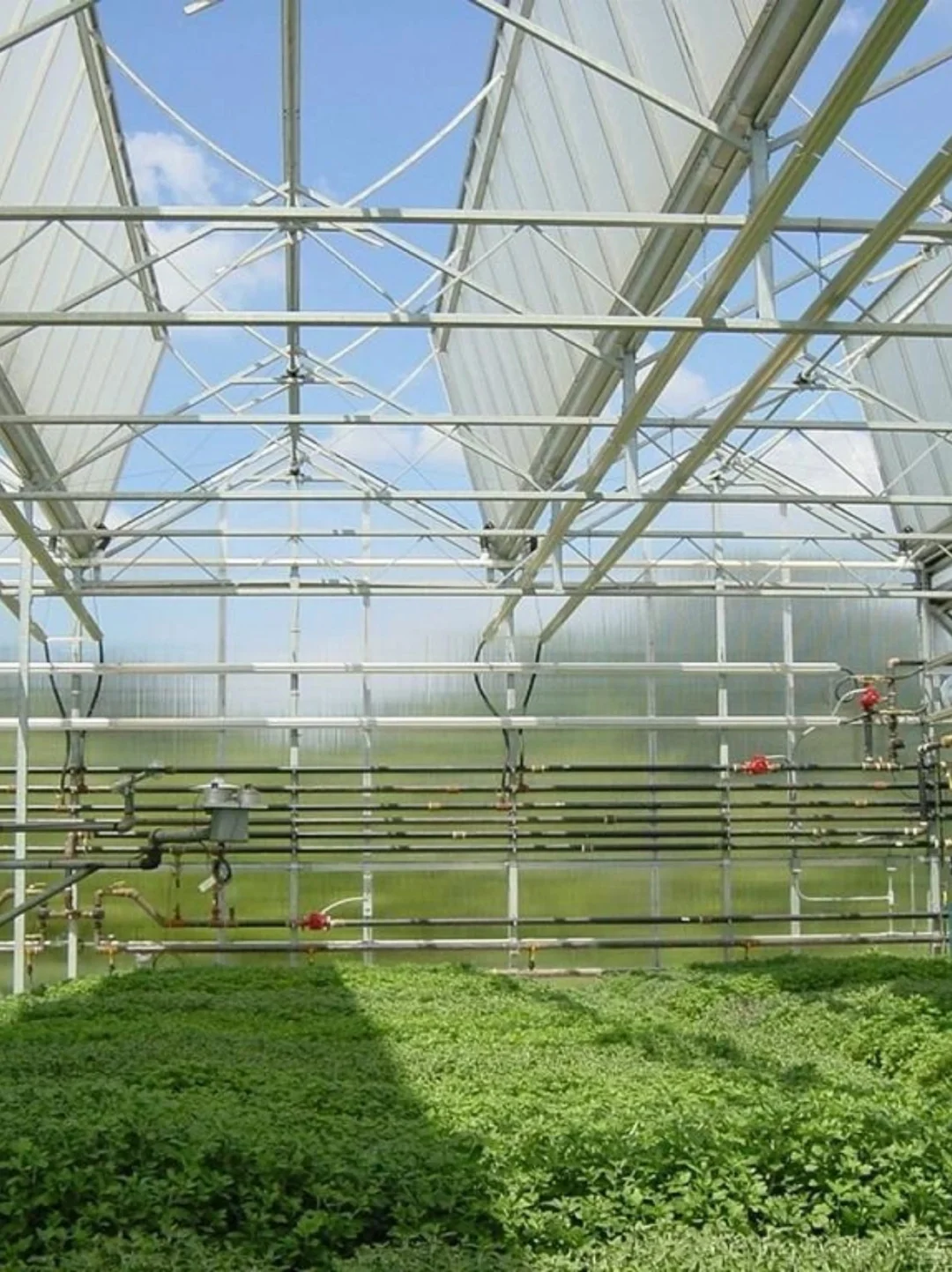 ??智能温室??发展前景