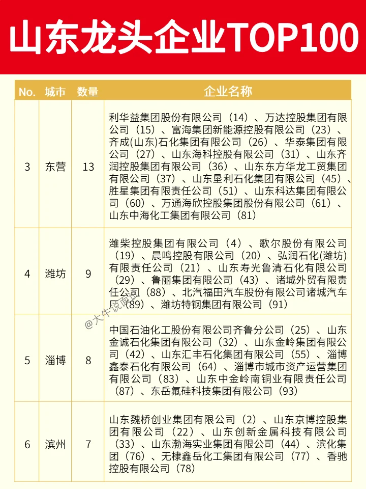山东龙头企业TOP100❗