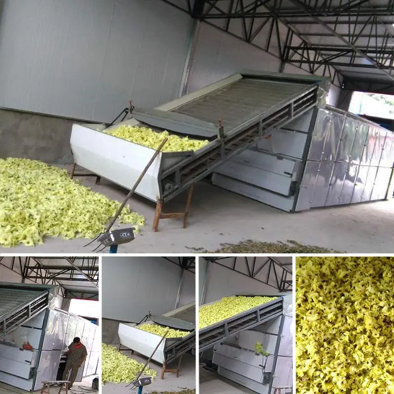 农副产品深加工设备与其他产业的协同发展