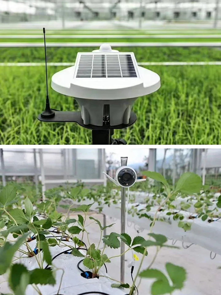 精准农业：现代农业发展的未来趋势