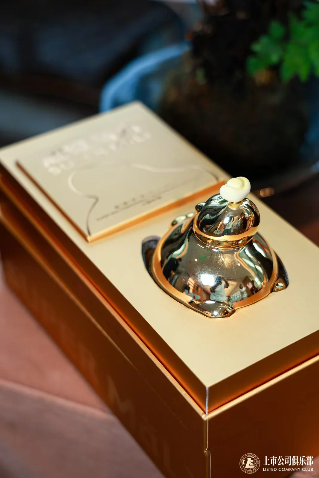 上市公司俱乐部出海分会成立大会丨超级马力