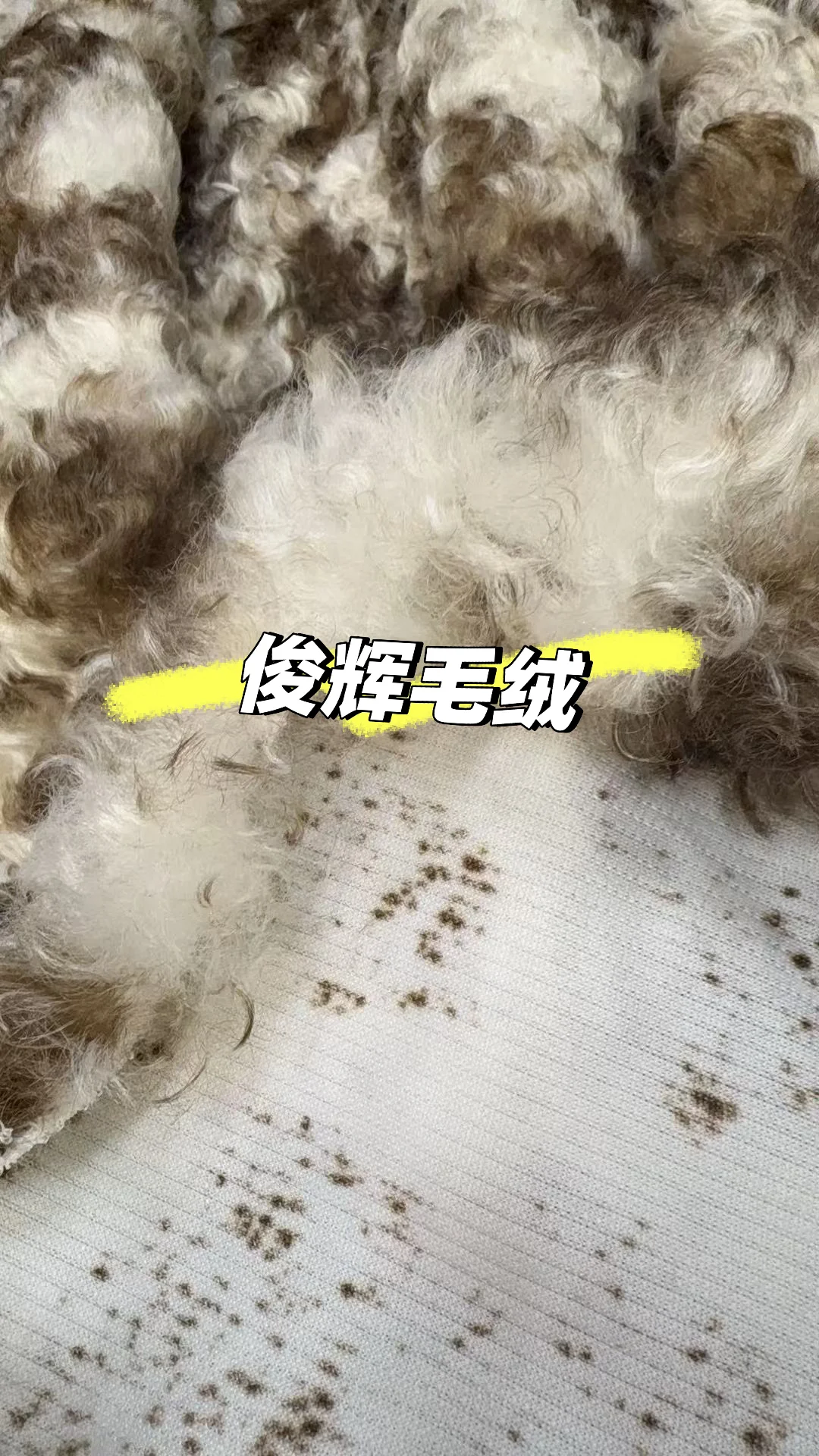 25年秋冬新品面料推荐✅新品毛绒1349#