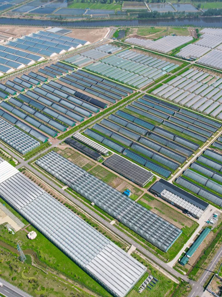 为何规模化对设施农业发展如此重要？