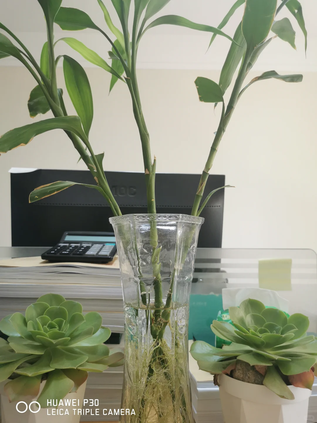 财务决算 上市企业 资本市场 分红计划