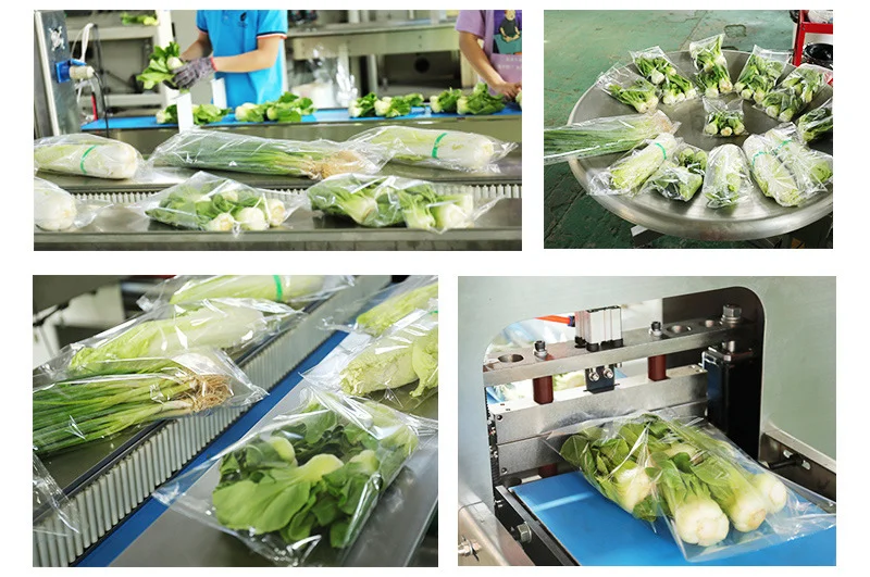 农副产品深加工设备与其他产业的协同发展