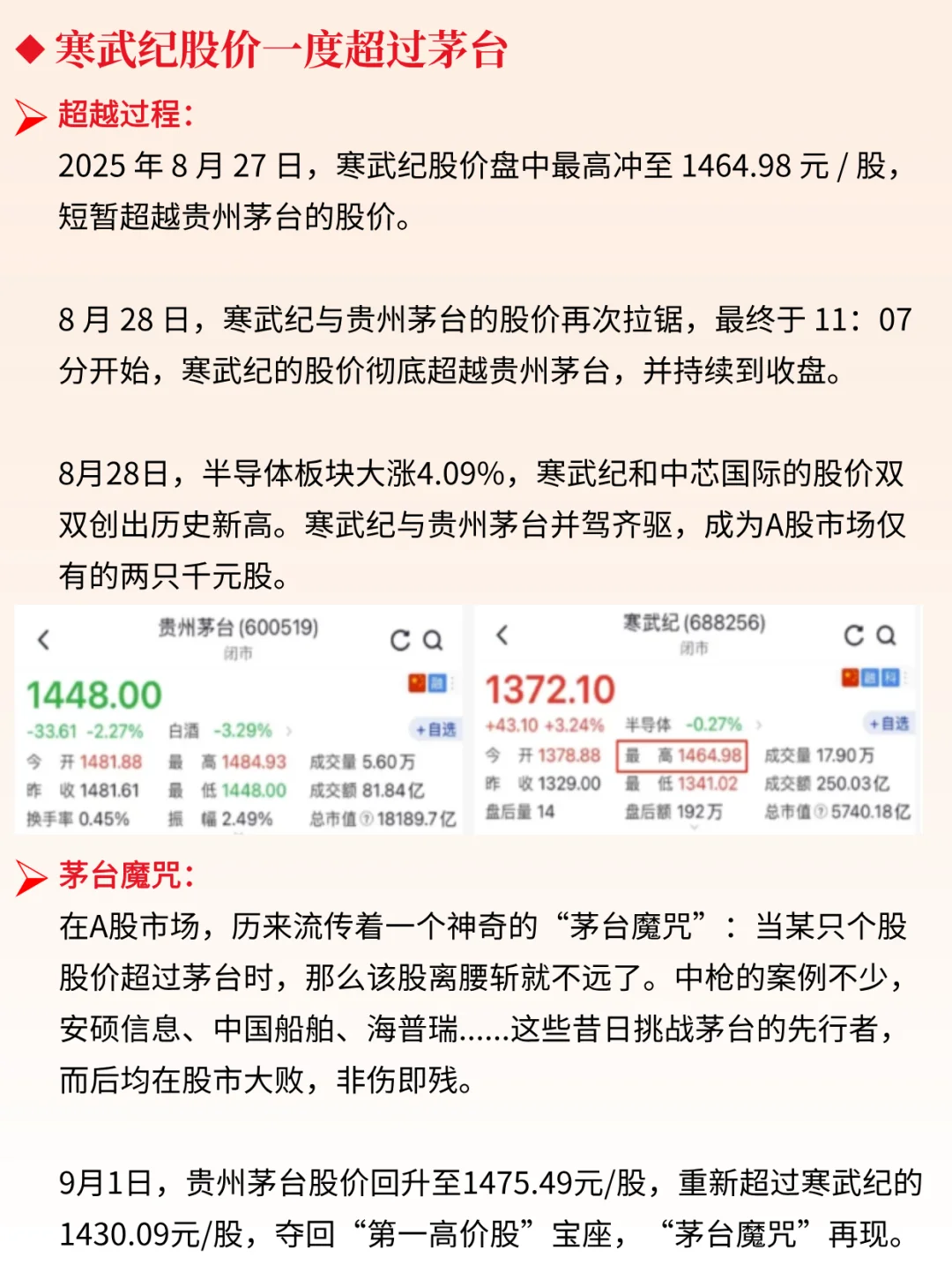 一天吃透一家上市公司：寒武纪 | A股新王