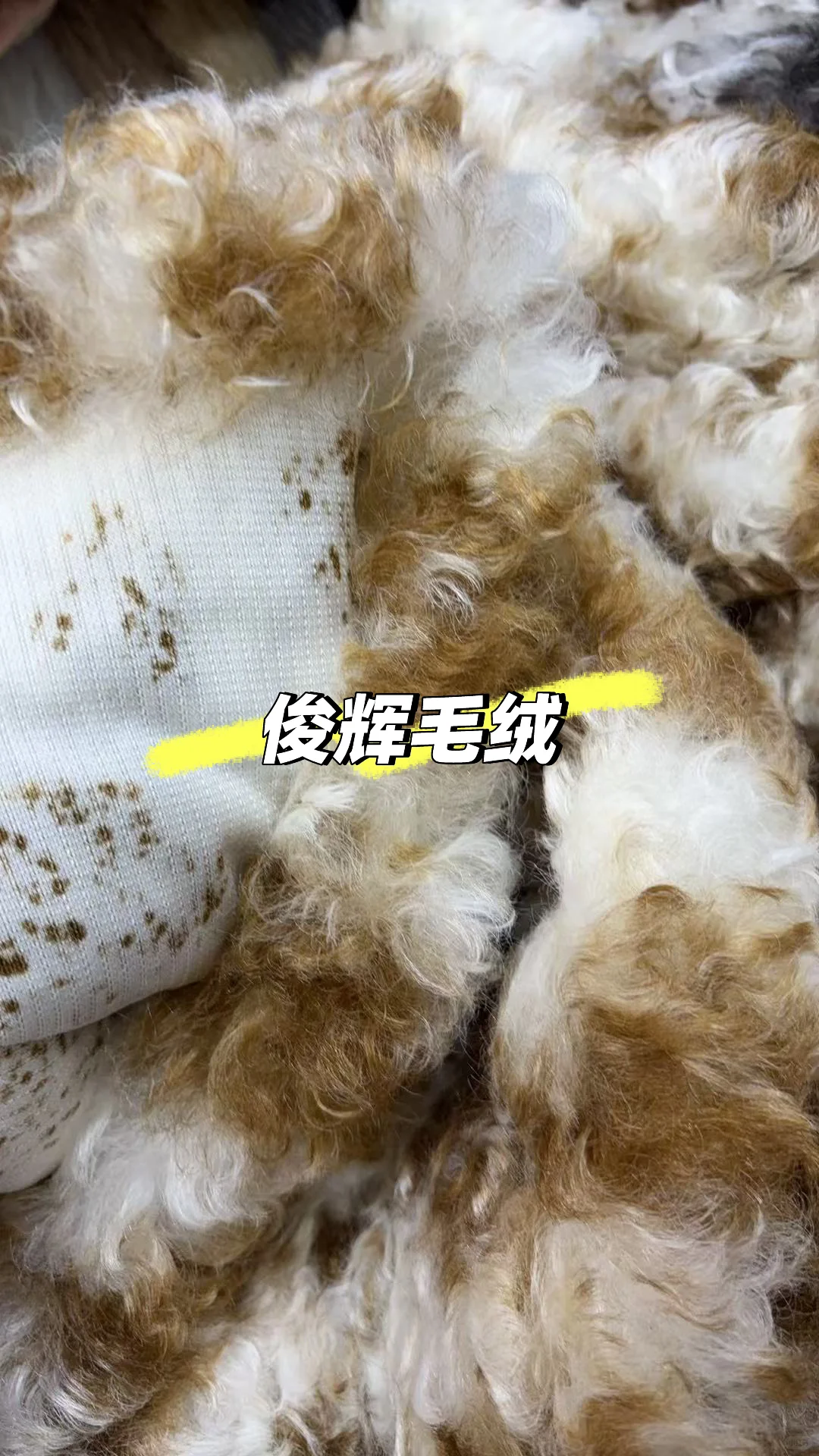 25年秋冬新品面料推荐✅新品毛绒1349#