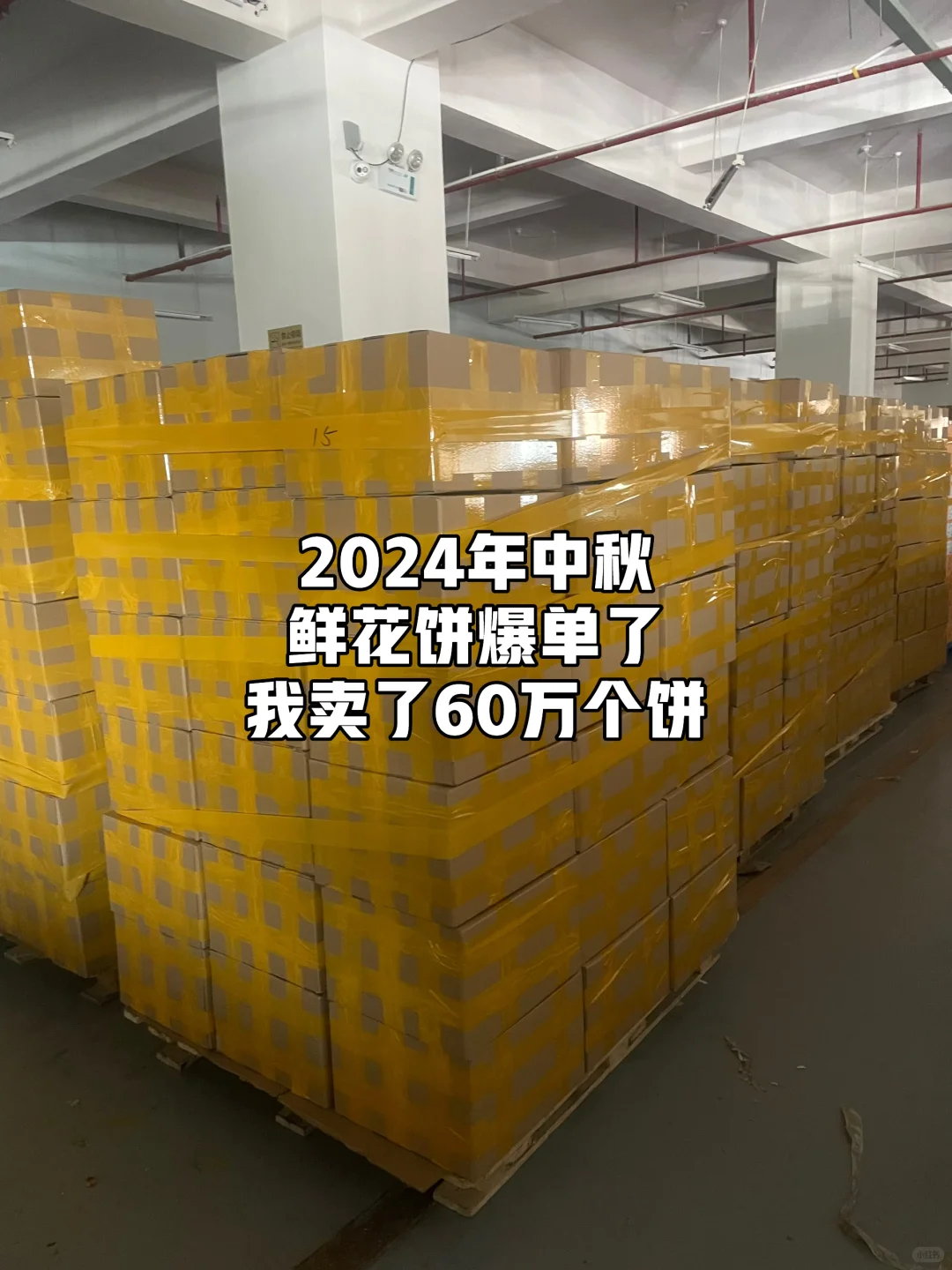 平阴玫瑰店主，从0到月销70万用了4年