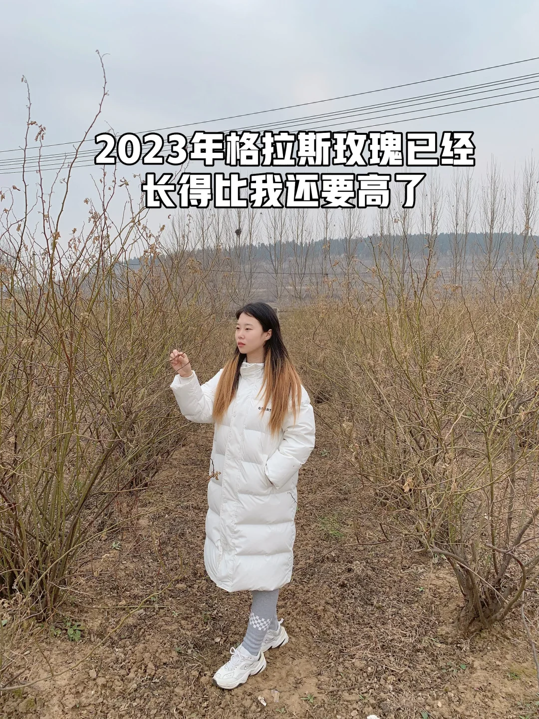 平阴玫瑰店主，从0到月销70万用了4年