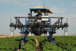 未来农村究竟何去何从？