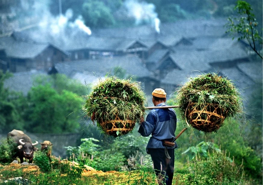 未来农村究竟何去何从？