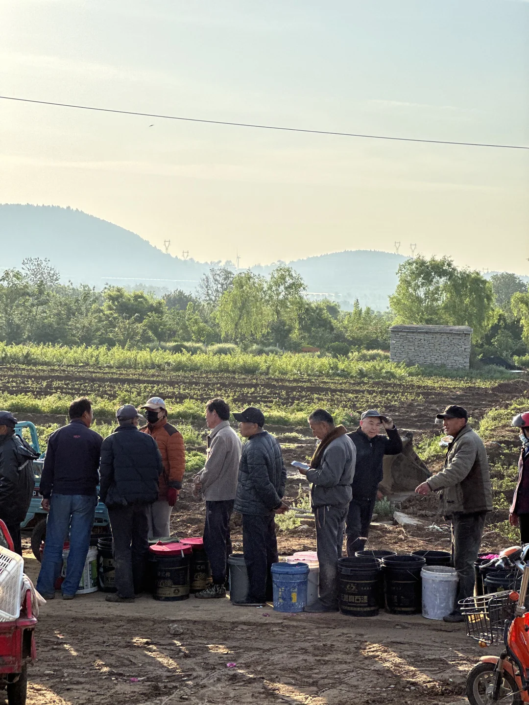 平阴玫瑰店主，从0到月销70万用了4年