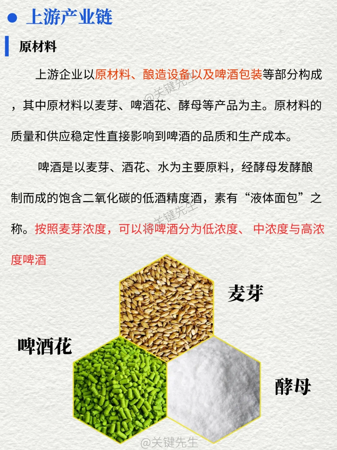 一天吃透一条产业链 NO.21 啤酒