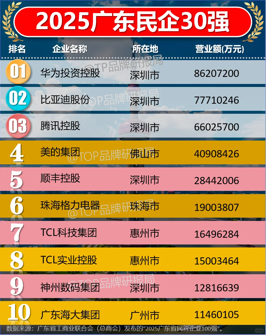 2025广东民营企业民企30强