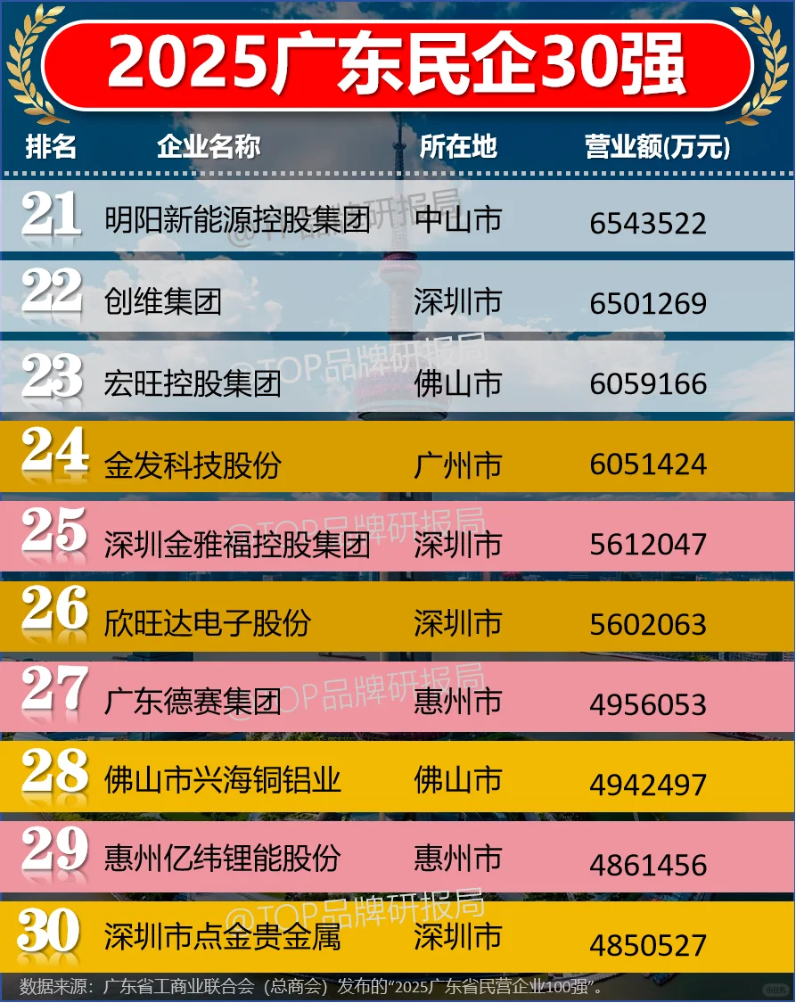 2025广东民营企业民企30强