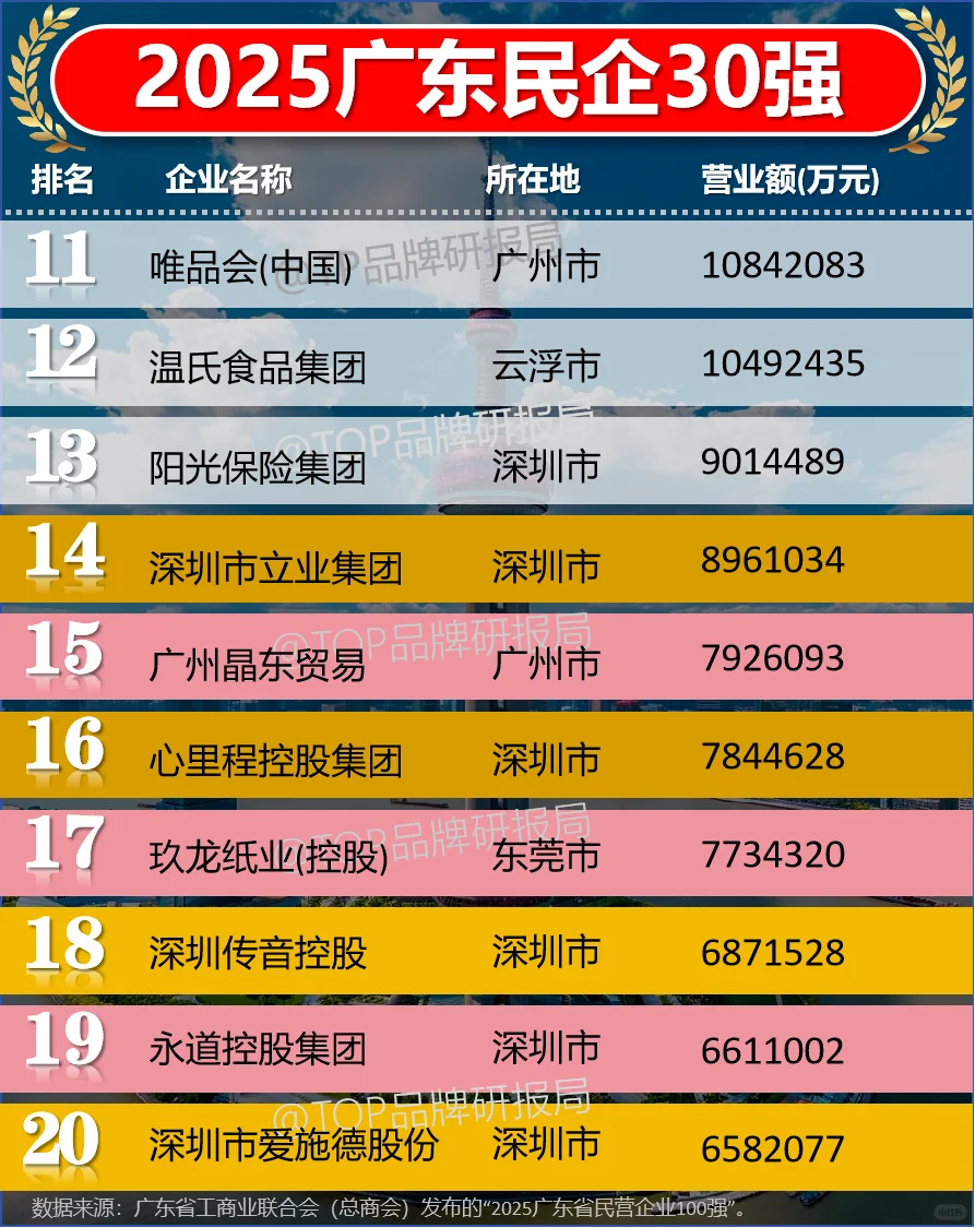 2025广东民营企业民企30强