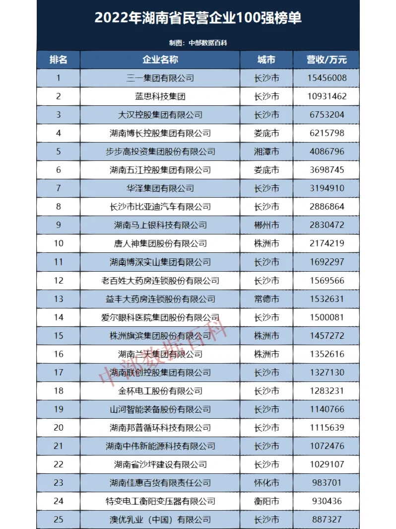 2022年湖南省民营企业100强榜单